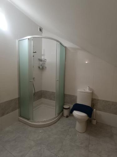 a bathroom with a glass shower and a toilet at Maisonette JP2 in Victoria