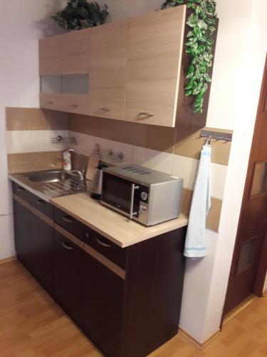 a kitchen with a sink and a microwave at Penzion Oáza Hřensko in Hřensko