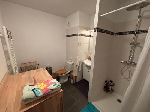 une salle de bain avec une douche, des toilettes et un lavabo dans l'établissement Appartement au calme à 10min des plages - avec Rez de Jardin et Terrasse, à Bénesse-Maremne