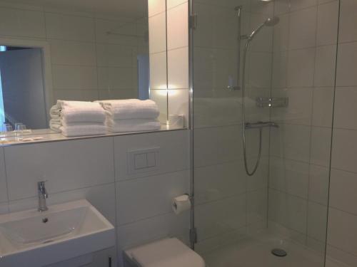 ein Bad mit einer Dusche, einem WC und einem Waschbecken in der Unterkunft Auberge de Prangins in Prangins