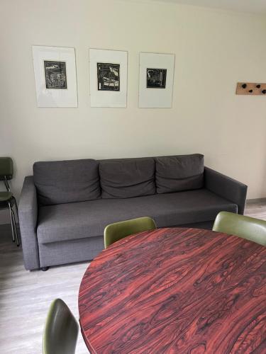 a living room with a couch and a table at Eidavellir Apartments and Rooms in Egilsstadir