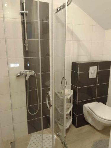 a bathroom with a glass shower with a toilet at Apartament i pokoje na Sosnowej in Ostrowo