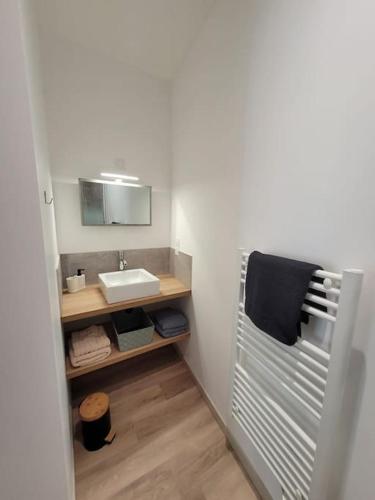 une salle de bain avec un lavabo et un miroir dans l'établissement Logement centre le bugue, au Bugue
