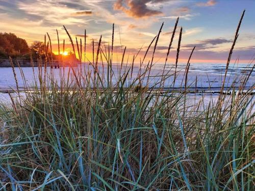a beach with tall grass in front of a sunset at Apartament i pokoje na Sosnowej in Ostrowo