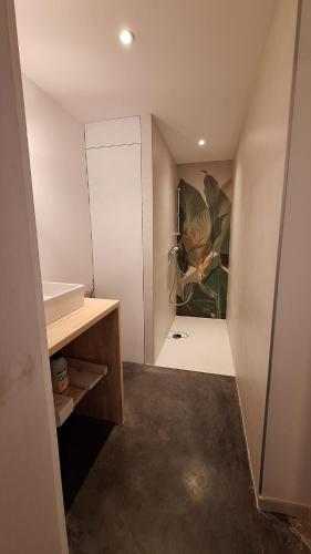 a bathroom with a painting on the wall at Bed and breakfast Le fourchu fossé in Liège