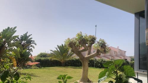 a tree in a yard next to a building at Magic Paradisus guest in Caniço