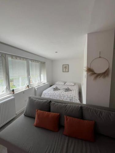 un soggiorno con un divano e un letto di L'ethnique cottage 30m2 2 personnes avec extérieur a Villeneuve d'Ascq