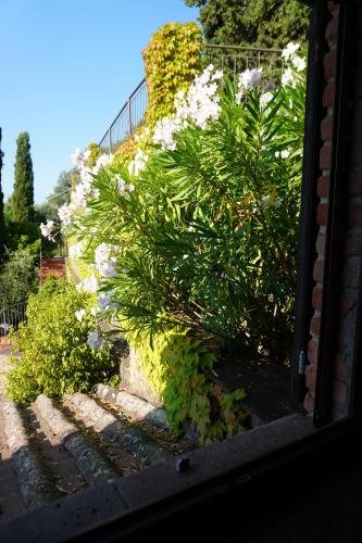 Κήπος έξω από το CASA LIMONE