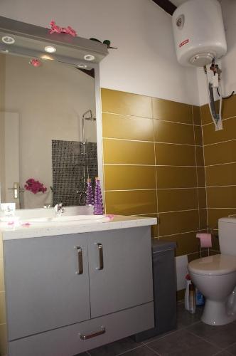 een badkamer met een wastafel, een toilet en een spiegel bij Gites de Bois d'Inde in Saint-François