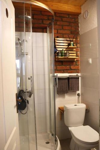 a bathroom with a toilet and a glass shower at PodRoom Irena in Zmajevac