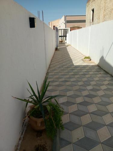a patio with a potted plant next to a white wall at Dar alibaba in Douz