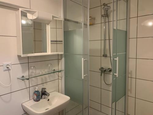 un bagno con lavandino e doccia in vetro di China Restaurant Hotel Lotus a Rothenburg ob der Tauber