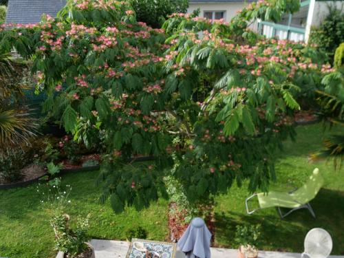 Afbeelding uit fotogalerij van un oasis de quiétude belle chambre 22m2 in Guérande