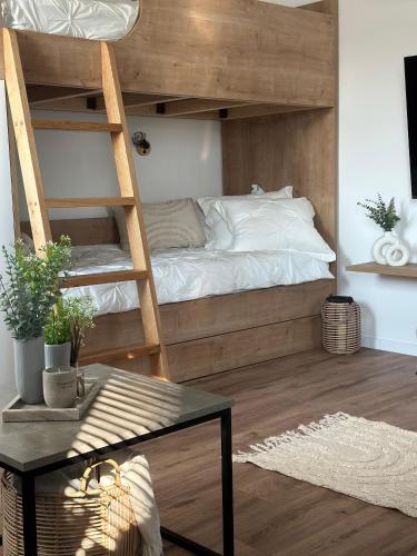 a bedroom with a bunk bed with a ladder at Vista Verde in Zadoborje