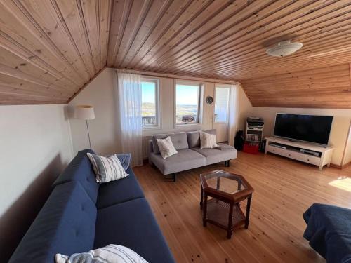 Televisyen dan/atau pusat hiburan di Villa Hyppeln - Swe Archipelago