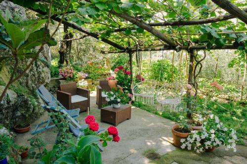 a garden with a bunch of flowers and plants at Rosa e Valentino in Ravello