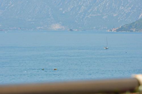 a boat in the middle of a large body of water at Pearl Shell Apartments in Kotor