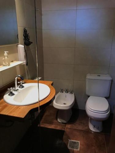 a bathroom with a sink and a toilet at De Los Andes Hotel Boutique in Ciudad Lujan de Cuyo