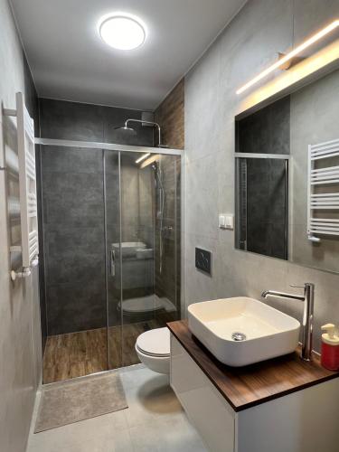 a bathroom with a shower and a toilet and a sink at Pokoje Gościnne REST in Karwia