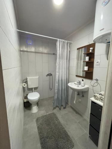a bathroom with a toilet and a sink at Apartmani Morava 54 in Kočino Selo
