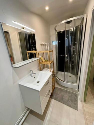 une salle de bain avec un lavabo blanc et une douche dans l'établissement L'Escobar Troyen, à Troyes