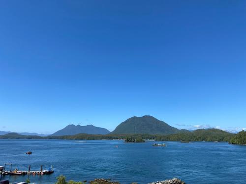 a view of a lake with boats in the water at The Inn at Tough City in Tofino