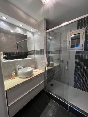 une salle de bain avec un lavabo et une douche en verre dans l'établissement Logement Cosy avec jardin, à Cabourg