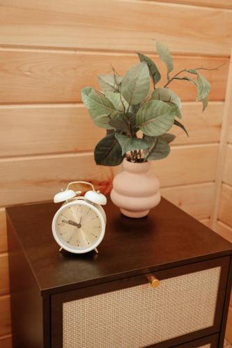 a clock and a vase with a plant on a table at Dog-Friendly A-Frame with Firepit and Fall Foliage in Hedgesville