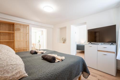 TV a/nebo společenská místnost v ubytování revLIVING Apartments Gars am Kamp