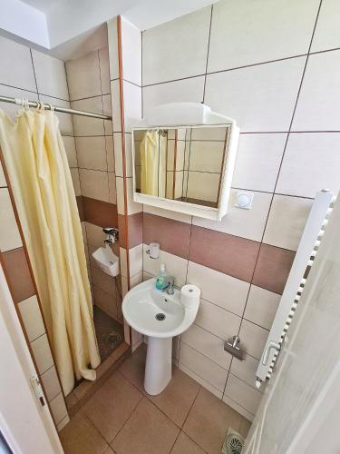 Maja V Apartmani Sokobanjaにあるバスルーム