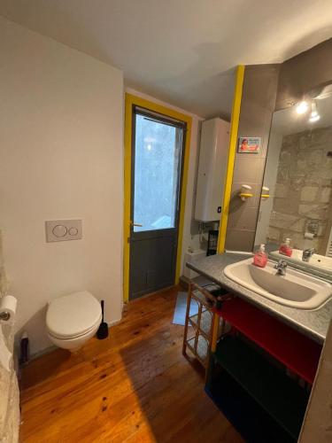 La salle de bains est pourvue de toilettes, d'un lavabo et d'un lavabo. dans l'établissement Chaleureux Vernet - Terrasse - Clim - Hypercentre, à Avignon