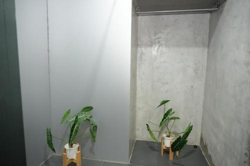 two potted plants are sitting in a room at Bkk39 Airport hotel in Ban Khlong Prawet