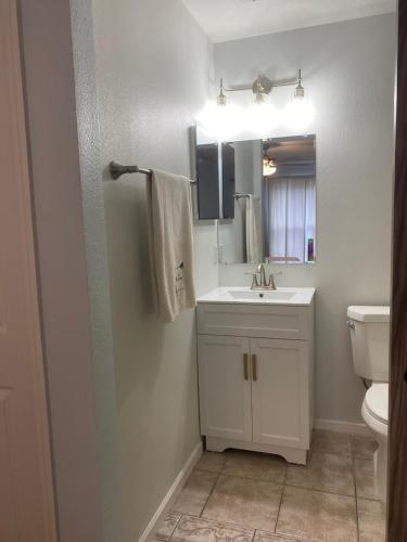ein Badezimmer mit Waschbecken, Toilette und Spiegel in der Unterkunft - Spacious Master Room with Private Bathroom near UCF, Hospital & Shopping in Orlando