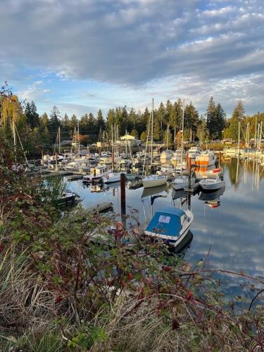 a bunch of boats are docked in a harbor at Seas The Day Saratoga at THE BEACH HOUSE in Campbell River