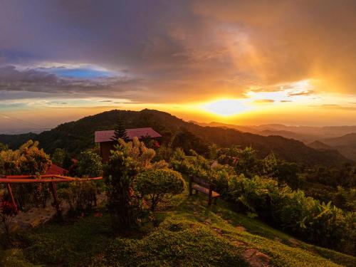 a view of a sunset from a vineyard at Loma Nevada Minca Hotel in Minca