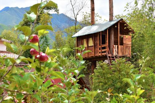 a tree house with a tin roof in the forest at El Huayllar in Cusco