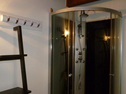 une douche dans une salle de bain avec un miroir dans l'établissement Gîte de charme au cœur du Val de Loire, proche Amboise-Chenonceau, cadre paisible, tout inclus - FR-1-381-207, à La Croix-en-Touraine