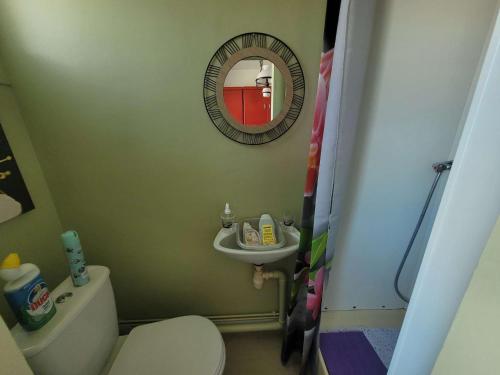 une petite salle de bain avec toilettes et miroir dans l'établissement Charmant T2 de 20m² face à la plage de Berck-sur-Mer, avec chambre et ascenseur - FR-1-674-48, à Berck-sur-Mer