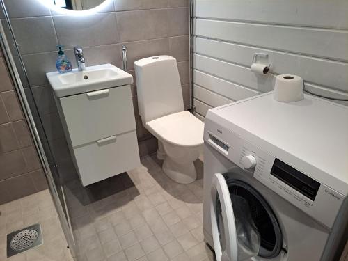 y baño con aseo, lavabo y lavadora. en Cosy Holiday Cabin in the Heart of Lapland, en Ylläs