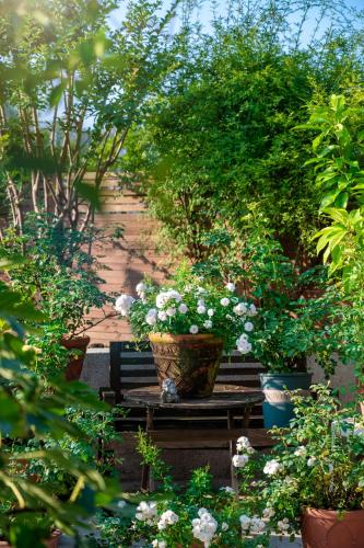 a park bench with potted plants on it at Wuyu Hotel - Chongqing Jiangbei Airport & Light Rail in Chongqing