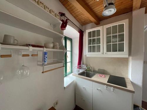 Kuchyň nebo kuchyňský kout v ubytování Studio apartman Tisa, Ćunski, Lošinj