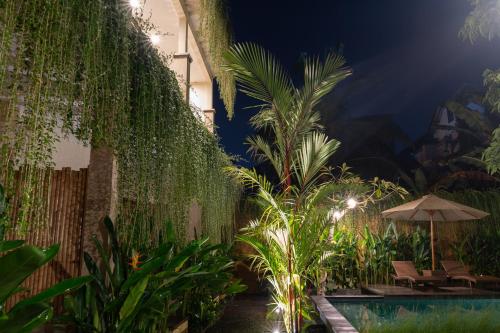 a garden with a pool and plants at night at tiny's house in Ubud