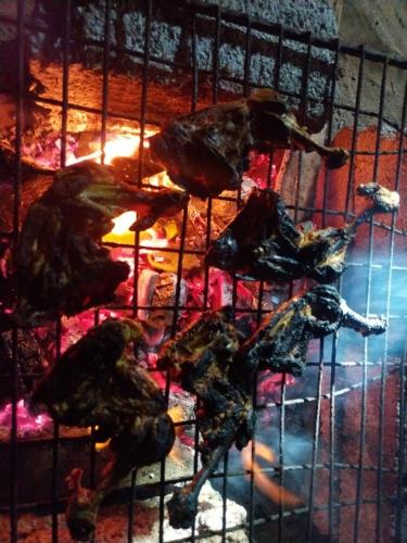 ポットゥビルにあるRiver Point Cabana at Arugambayの暖炉の中の鳥かごの中の鳥の群れ