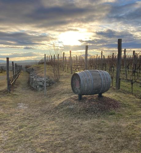 Ferienwohnung Langenlois