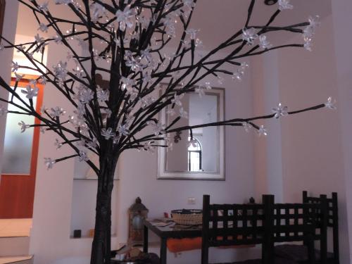 Gallery image of Apartamento Barbancho in Cáceres