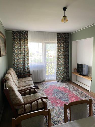 a living room with a couch and a tv at Apartament ultracentral Botis in Sighetu Marmaţiei