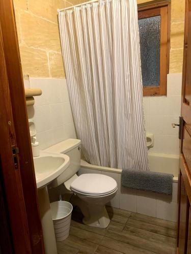 a bathroom with a toilet and a shower curtain at 300y/o Farmhouse BLUE LAGOON VIEWS /AC/POOL QALA in Qala