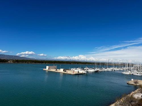 un groupe de bateaux est amarré dans un port dans l'établissement Appartement paisible 3 personnes, à Leucate