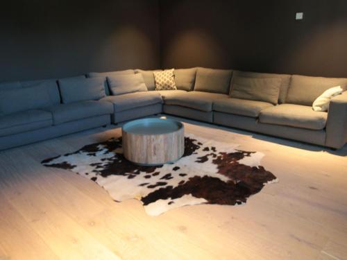 a living room with a couch and a coffee table at Villa in Zealand near Dutch Flanders Coast in Zuidzande