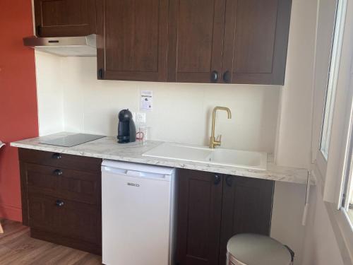 Il comprend une petite cuisine équipée d'un évier et d'un lave-vaisselle. dans l'établissement Appartement Pont Montaudran, à Toulouse